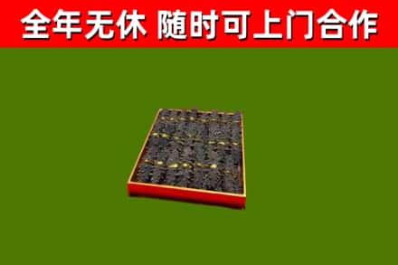 颍上县回收海参